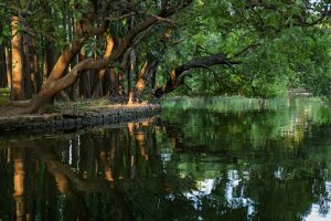 The Relationship Between Personal Development And Mental Health Counseling